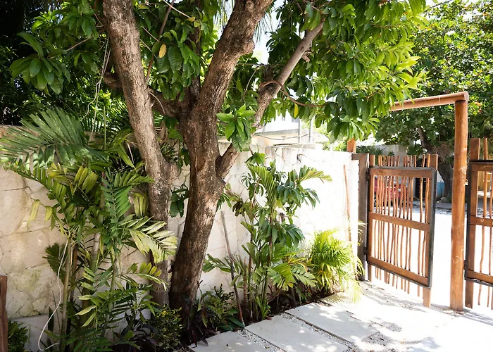 Yax Kiin Casa Boutique Hotel
